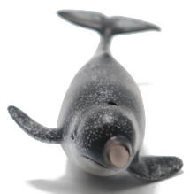 CollectA Sealife - Narwhal #88615 - Unicorn of the Sea
