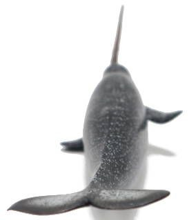 CollectA Sealife - Narwhal #88615 - Unicorn of the Sea