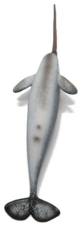 CollectA Sealife - Narwhal #88615 - Unicorn of the Sea