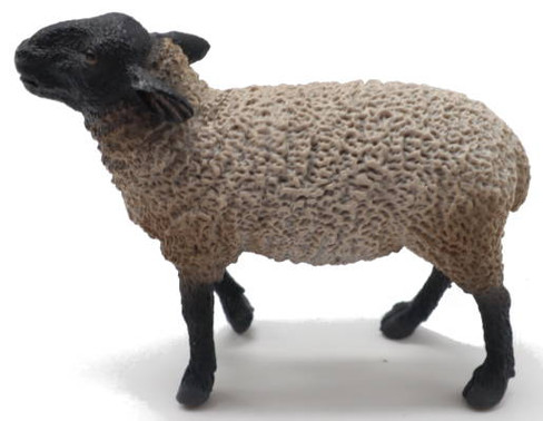 Suffolk Sheep (CollectA)