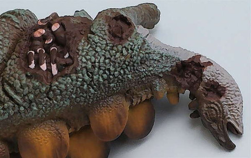 Stegosaurus Corpse (CollectA)