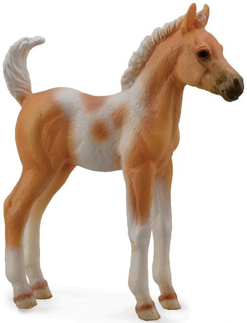 Pinto Foal - Palomino (CollectA)