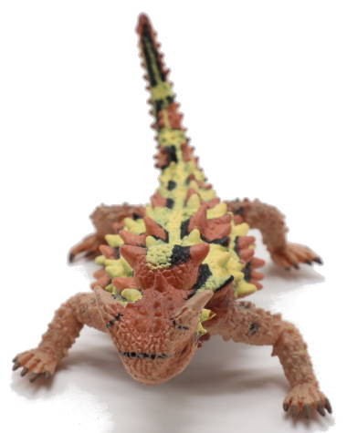 CollectA Thorny Dragon #88753 - Lots of hump / bumps