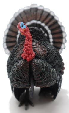 CollectA Bronze Turkey 88762 - Large Tail, Impressive Waddle