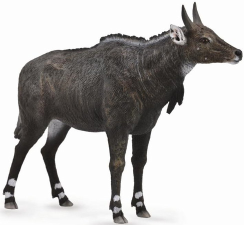 Nilgai (CollectA)