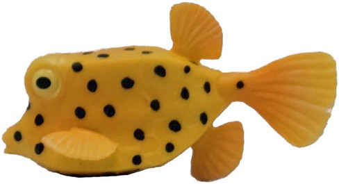 Box Fish (CollectA)