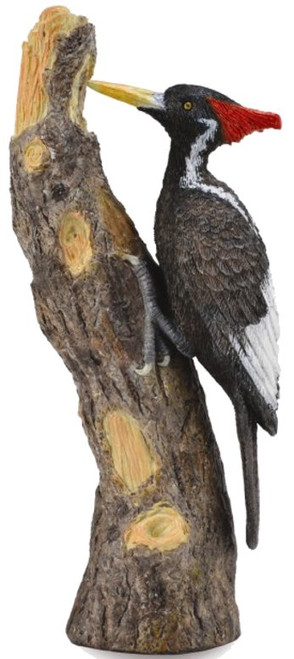 Woodpecker - Ivory -Billed (CollectA)