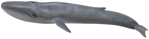 Whale - Blue (CollectA)
