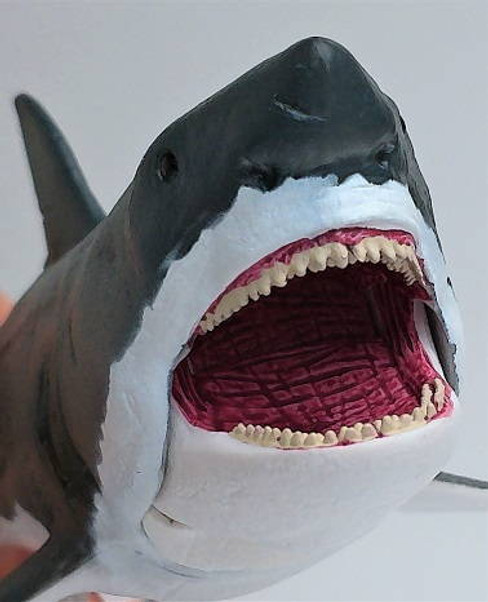 CollectA Megalodon with Moveable Jaw - Close Up Face View