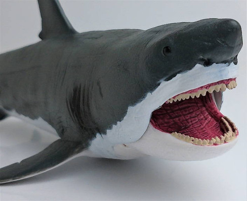 CollectA Megalodon with Moveable Jaw - Side View