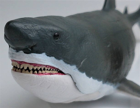 CollectA Megalodon with Moveable Jaw - Front View