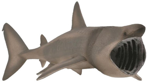 Shark - Basking (CollectA)