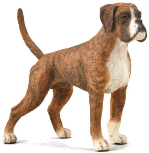 Dog - Boxer (CollectA)