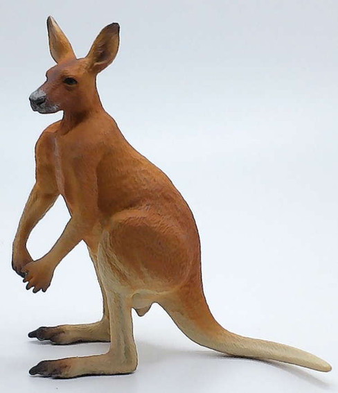 Kangaroo Male - Red (CollectA)