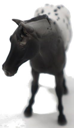 CollectA Appaloosa - Blue Roan #88947 - Truly Beautiful Coat