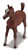 CollectA Arabian Foal Chestnut Figure