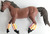 Horse Polo Wraps in Rainbow - ZZ - Set of 4 Horse Polo Wraps in Rainbow - ZZ - Set of 4