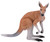 Mojo Red Kangeroo - Manufacturer Picture