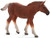 Mojo Suffolk Punch Foal