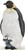 Papo Emperor Penguin with Chick - Manufacturer Picture