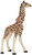 Papo Giraffe Calf with Tall Neck - Manufacturer Picture