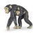 Papo Mother Chimpanzee and Baby Figure - Manufacturer Picture