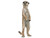 Papo Standing Meerkat Figure - Manufacturer Picture