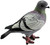 Papo Pigeon Figure - Manufacturer Picture