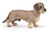 Papo Dachshund - Cute Weiner Dog Figure
