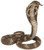 Papo King Cobra Snake - Striking Pose - Manufacturer Picture