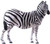 PNSO - Razi the Plains Zebra - Manufacturer Picture