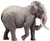 PNSO Chike the African Bush Elephant - Manufacturer Picture