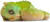 PNSO A-Chen the Dragon - Manufacturer Picture PNSO A-Chen the Dragon - Manufacturer Picture