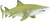 Safari Ltd. Lemon Shark Figure