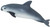 Safari Ltd. Dolphin - Vaquita Porpoise Figure Safari Ltd. Dolphin - Vaquita Porpoise Figure