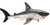 Shark - Salmon (Safari Ltd.)
