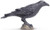 Safari Ltd. Raven Figure Safari Ltd. Raven Figure