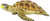 Safari Ltd. Toy Figure - Loggerhead Turtle Safari Ltd. Toy Figure - Loggerhead Turtle