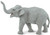 Safari Ltd. Asian Elephant - Manufacturer Picture