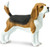 Safari Ltd. Beagle Dog Figure