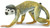 Safari Ltd. Toy Figure - Squirrel Monkey