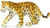 Safari Ltd. Toy Figure - Leopard Cub