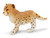 Safari Ltd. Toy Figure - Cheetah Cub