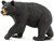 Safari Ltd. Toy Figure - Black Bear