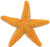 Safari Ltd. Toy Figure - Starfish Safari Ltd. Toy Figure - Starfish