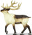 Safari Ltd. Toy Figure - Caribou - Reindeer