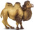 Safari Ltd. Toy Figure - Bactrian Camel