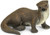 Safari Ltd. Toy Figure - River Otter