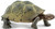 Safari Ltd. Toy Figure - Turtle - Desert Tortoise