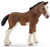 Schleich Toy Horse Figure - Clydesdale Foal